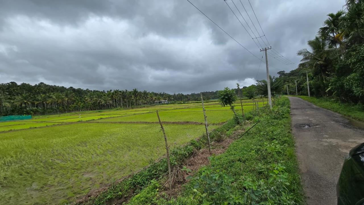 Green Aura Private Villas Sultan Bathery Luaran gambar